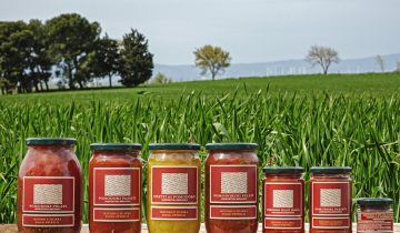 Come scegliere il pomodoro giusto per ogni ricetta delle feste