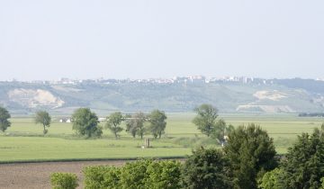 Lucera e Motta della Regina: un territorio che fa la differenza