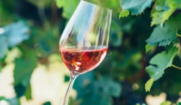 Il Rosato Motta del Lupo: viaggio nei profumi e nei colori della nostra terra