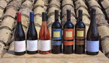 Vino biologico, senza compromessi: come nasce il nostro Cacc’e Mmitte