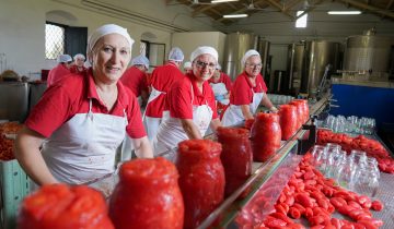 Il segreto di un buon pomodoro: le tecniche di lavorazione tramandate